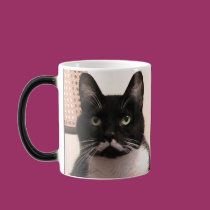 Gato del smoking tazas