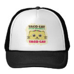 Gato del Taco Gorro