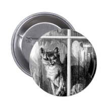 Gato del vintage pin