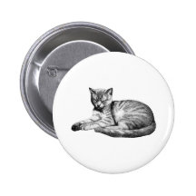 Gato del vintage pin