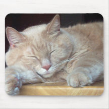 Gato el dormir - cojín de ratón tapetes de ratón