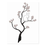 Gato en árbol de la flor de cerezo tarjetas postales