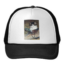 Gato en bota gorro de camionero