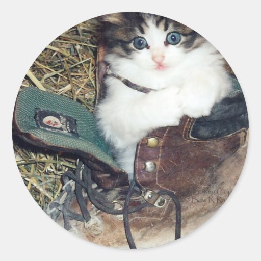 Gato en bota pegatinas  