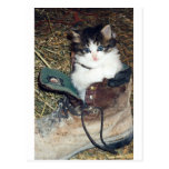 Gato en bota postal