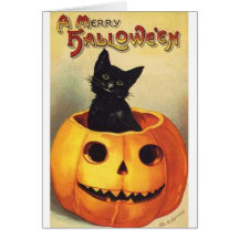 Gato en calabaza felicitación