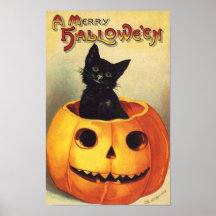 Gato en calabaza impresiones