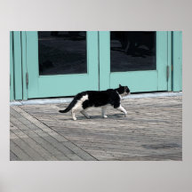 Gato en el parque NJ de Asbury Posters