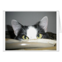 Gato en greetingcard de la cesta felicitación