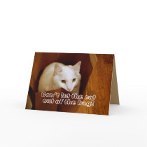 Gato en la invitación de la fiesta de cumpleaños d