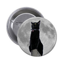Gato en la luna pin
