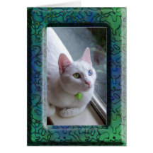 Gato en marco azulverde tarjeta