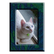 Gato en marco azulverde tarjeta