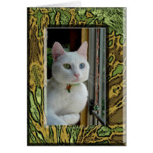 Gato en marco de color verde amarillo tarjetas