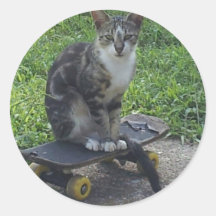 gato en tablero del patín pegatina