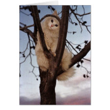 Gato en un árbol felicitaciones