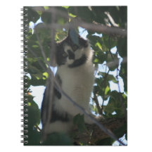 Gato en un cuaderno del árbol