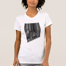 Gato en ventana camisetas