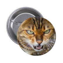 Gato enojado de Bengala Pin