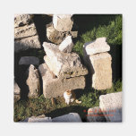 Gato entre las ruinas imán de frigorífico