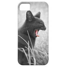 Gato expresivo iPhone 5 Case-Mate fundas
