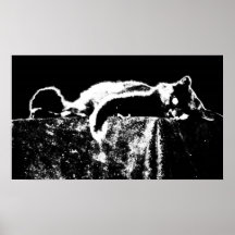Gato extremo del contraste impresiones