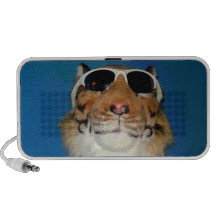 Gato fresco altavoz