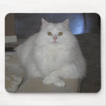 Gato fresco "Bugsy" Mousepad Alfombrillas De Ratón