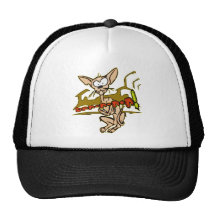 Gato fresco gorras de camionero