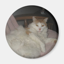 Gato gordo imán