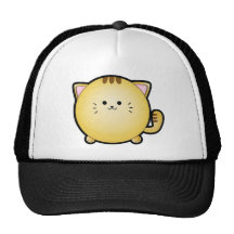 gato gorro