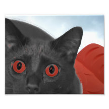 Gato gris con la imagen mezclada ojos del naranja impresión fotográfica