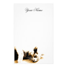 Gato gris inmóvil  papeleria