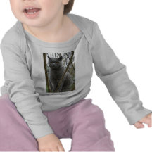 Gato gris mullido camiseta