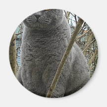 Gato gris mullido imán