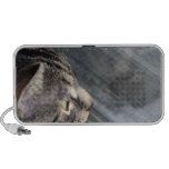 Gato gris que mira hacia fuera la ventana mini altavoz