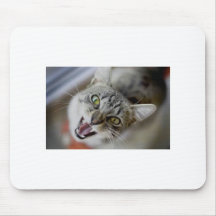 Gato hambriento alfombrillas de raton