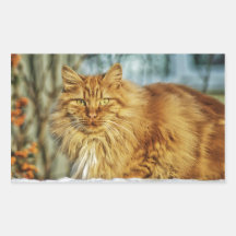 Gato hermoso rectangular altavoz