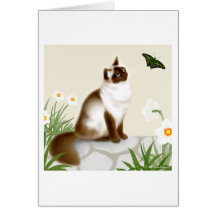 Gato Himalayan curioso Tarjeta