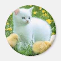 gato imanes de nevera