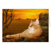 Gato Lazing Felicitacion