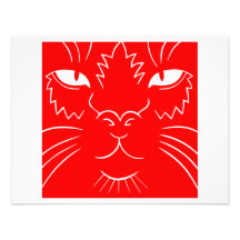 Gato lindo del gatito comunicados personalizados