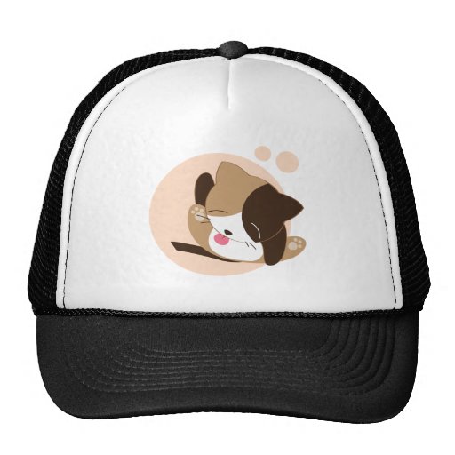 Gato lindo gorra