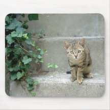 Gato lindo - Mousepad Tapetes De Raton