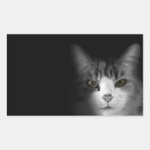 Gato lindo pegatinas  