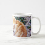 Gato lindo que se sienta en la trayectoria en el j tazas de café