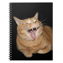 Gato loco libros de apuntes