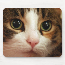 Gato Mousepad Alfombrilla De Raton