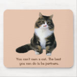 Gato Mousepad Alfombrilla De Raton