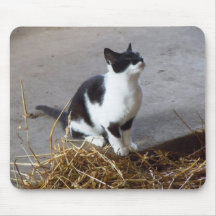 Gato Mousepad del granero Tapetes De Ratón